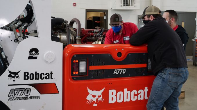 Bobcat