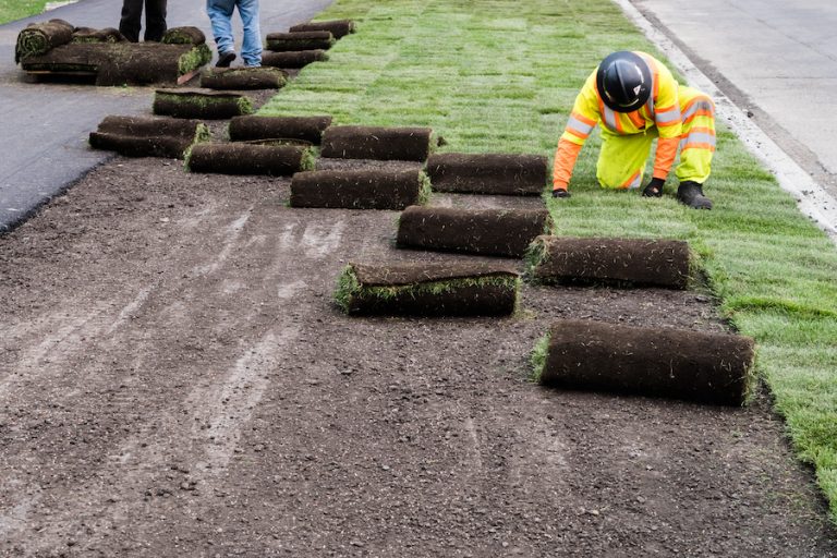 How to Price Lawn Care, Mowing, and Landscaping Jobs Like a Pro