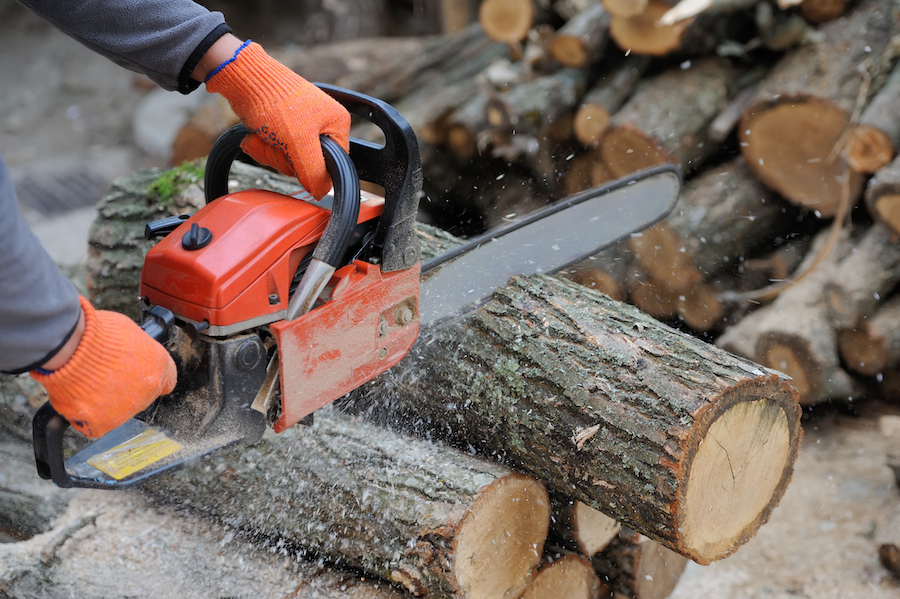 Chainsaw Safety for Forestry and Landscaping Contractors Equipment